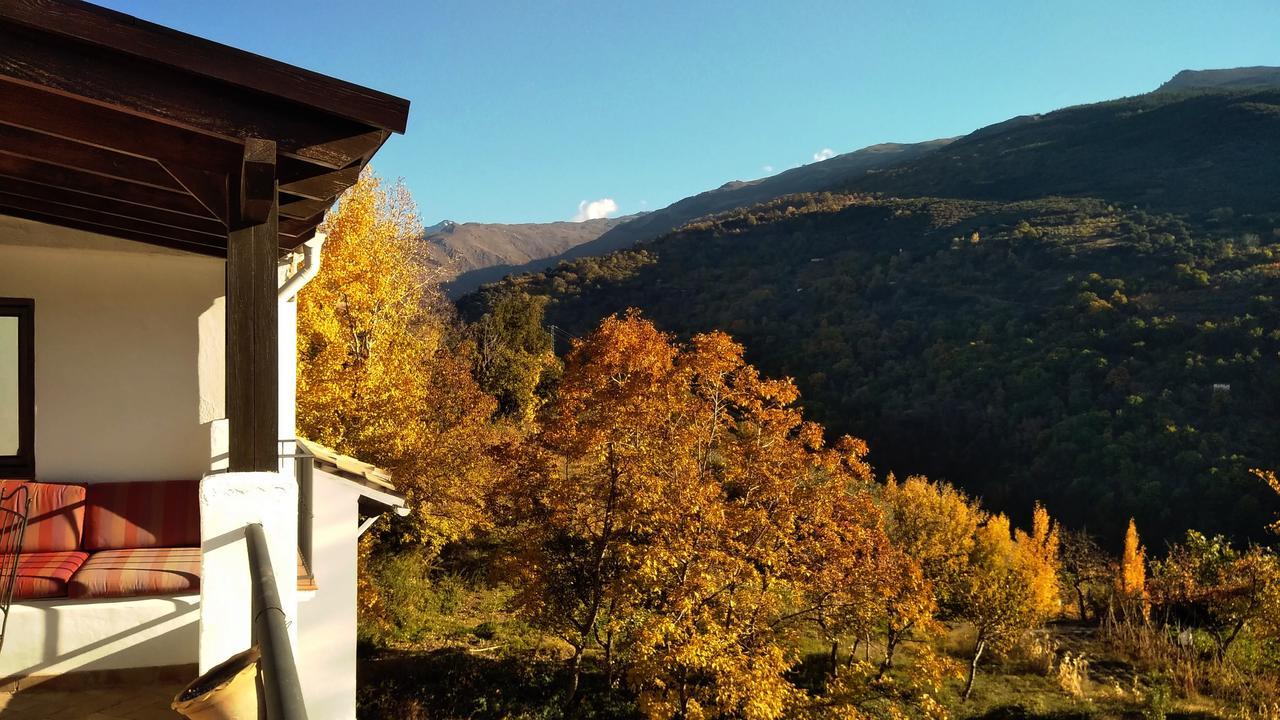 Casa Rural Arroyo De La Greda Guejar Sierra Ngoại thất bức ảnh